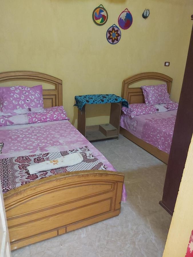 ホテル Otasho Nile View House アスワン 部屋 写真