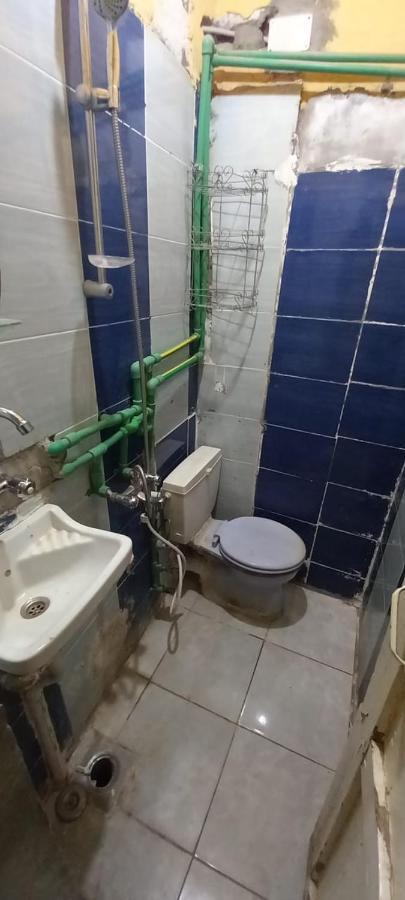 ホテル Otasho Nile View House アスワン エクステリア 写真