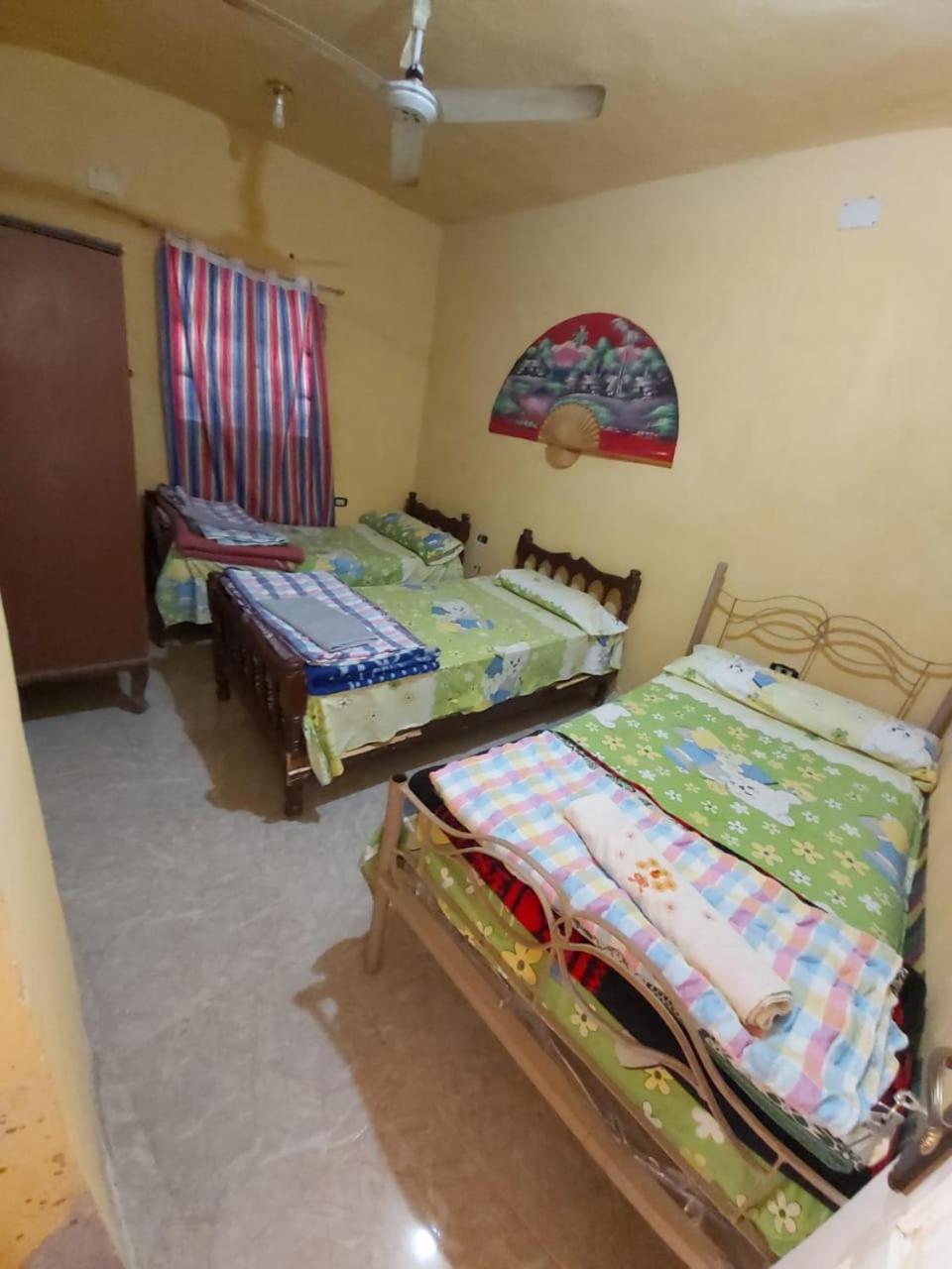 ホテル Otasho Nile View House アスワン 部屋 写真